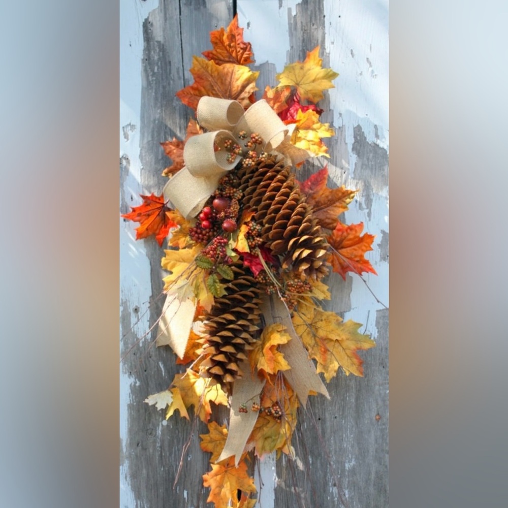 2 Gigantic pinecones! Sugar pine cones XXL HUGE MASSIVE Very large ~ 10 inches - Picture 9 of 9